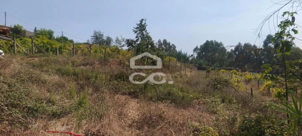 Quinta T4 para Venda em Caldas de Vizela (São Miguel e São João)
