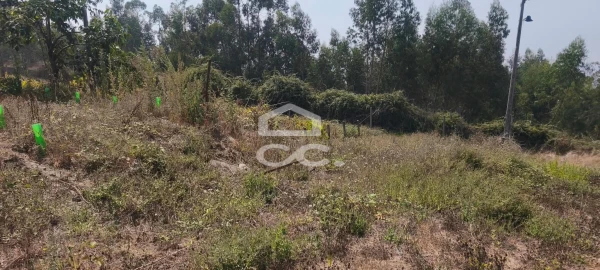 Quinta T4 para Venda em Caldas de Vizela (São Miguel e São João)