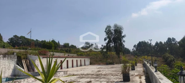 Quinta T4 para Venda em Caldas de Vizela (São Miguel e São João)