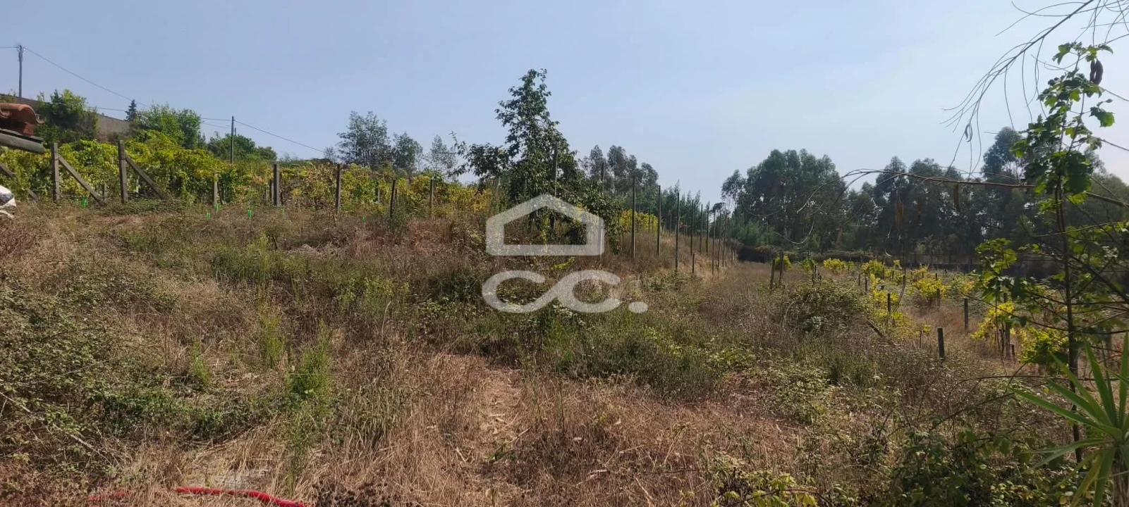 Quinta T4 para Venda em Caldas de Vizela (São Miguel e São João) Foto 4