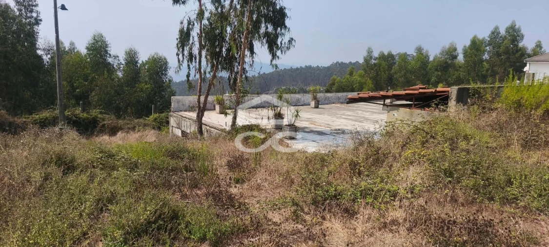 Quinta T4 para Venda em Caldas de Vizela (São Miguel e São João) Foto 42