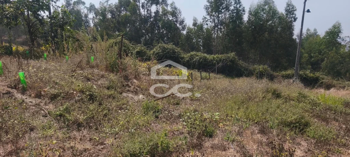 Quinta T4 para Venda em Caldas de Vizela (São Miguel e São João) Foto 45