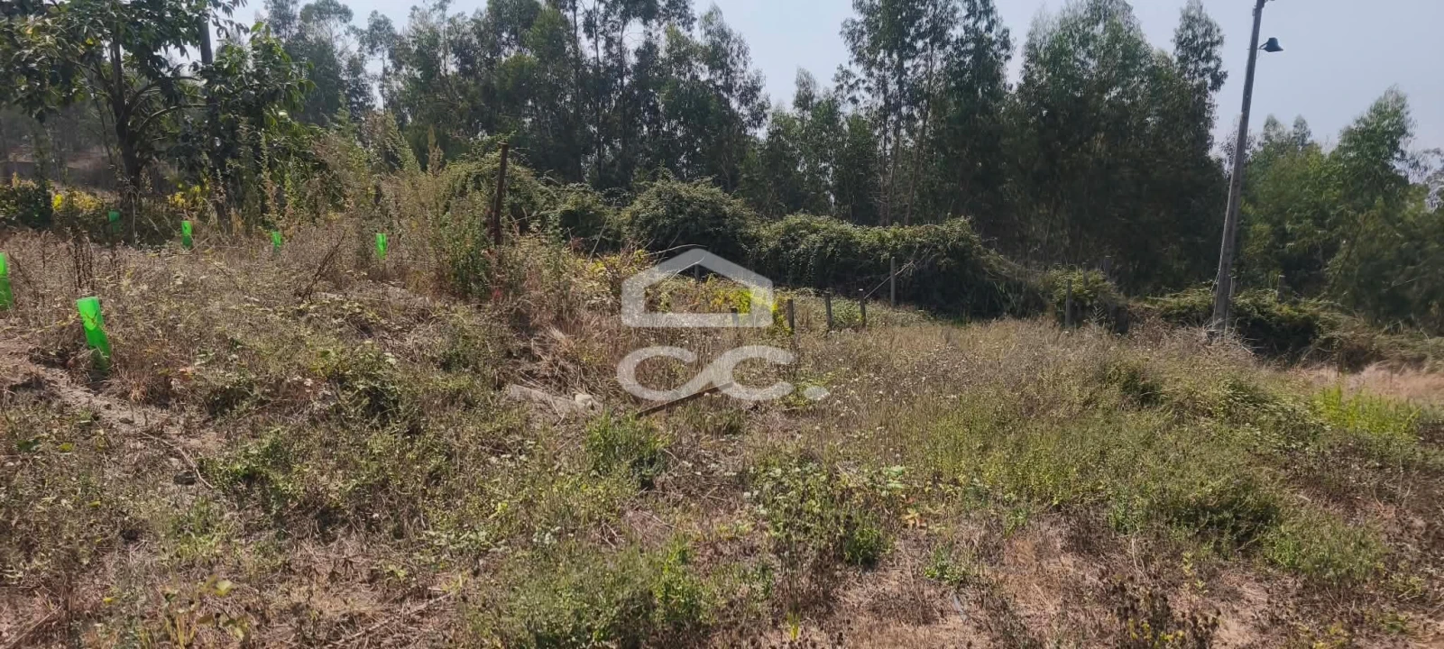 Quinta T4 para Venda em Caldas de Vizela (São Miguel e São João) Foto 45