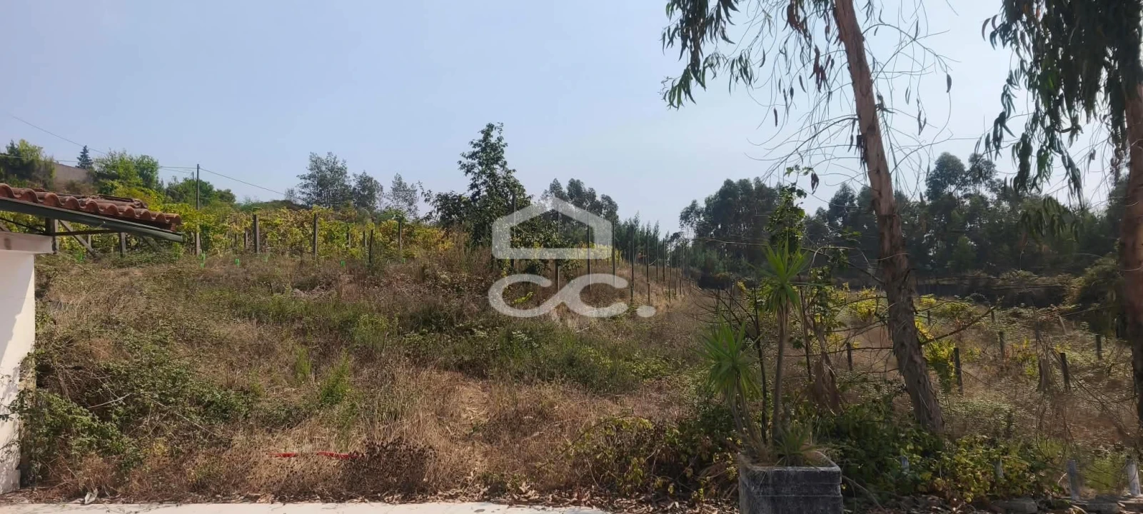 Quinta T4 para Venda em Caldas de Vizela (São Miguel e São João) Foto 5
