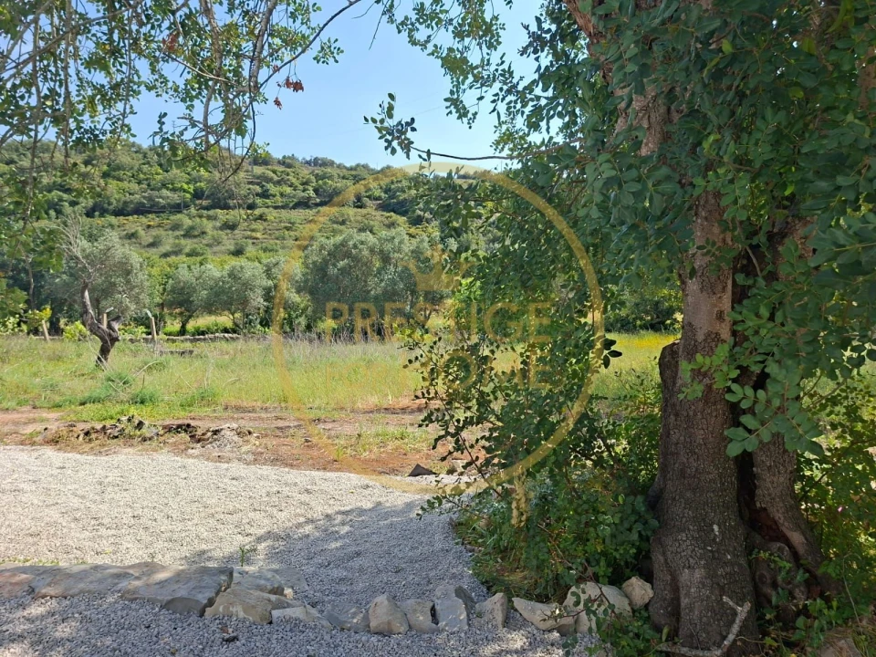 Moradia T3 para Venda em Faro (Sé e São Pedro) Foto 44