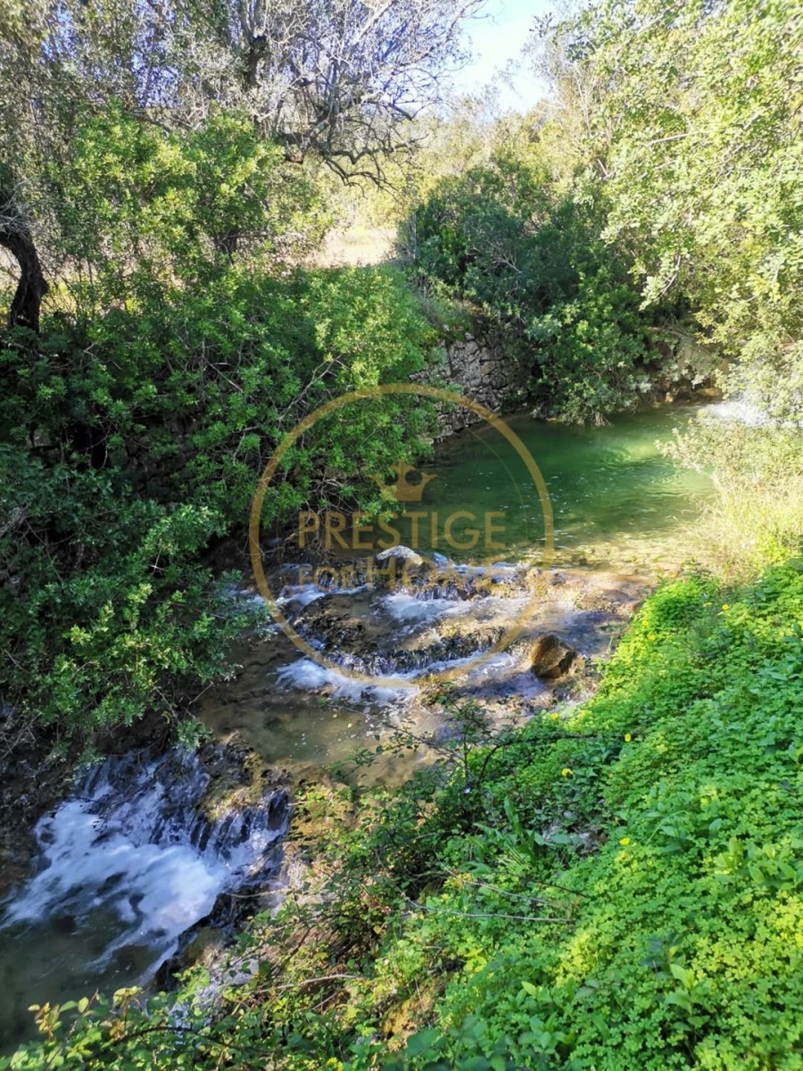 Moradia T3 para Venda em Faro (Sé e São Pedro) Foto 49