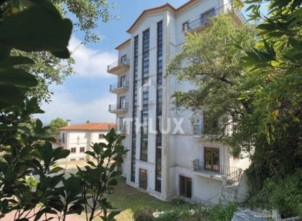 Negócio para Venda em Macinhata do Vouga Foto 5