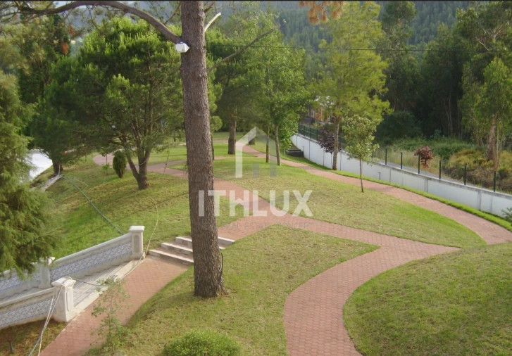 Negócio para Venda em Macinhata do Vouga Foto 15