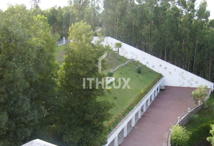 Negócio para Venda em Macinhata do Vouga Foto 19