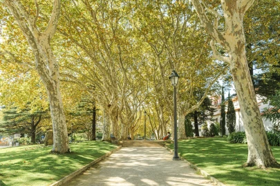 Apartamento T1 para Venda em Cascais e Estoril