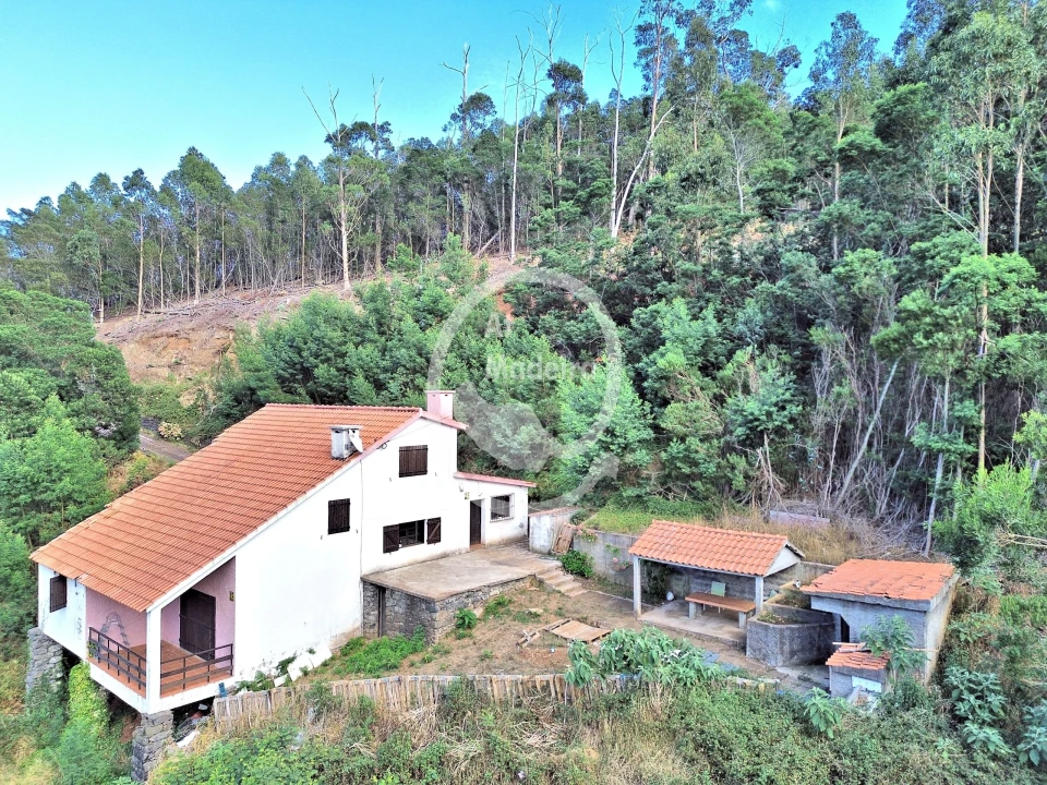 Moradia T4 para Venda em Camacha Foto 2