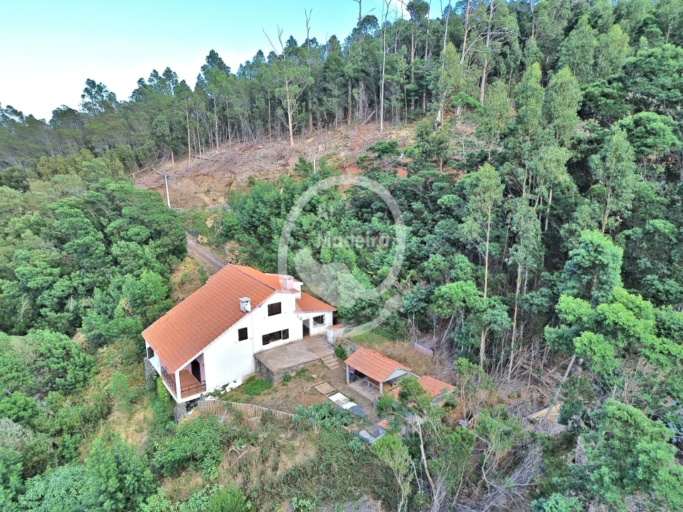 Moradia T4 para Venda em Camacha Foto 7
