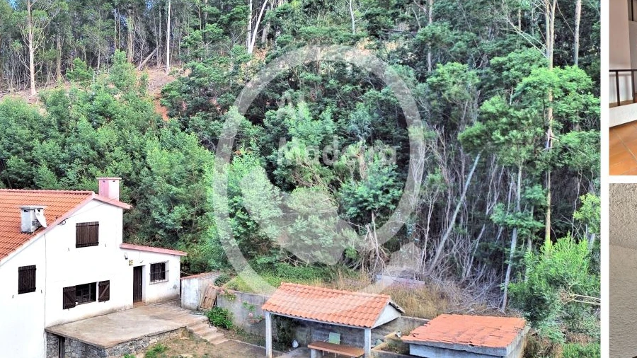 Moradia T4 para Venda em Camacha