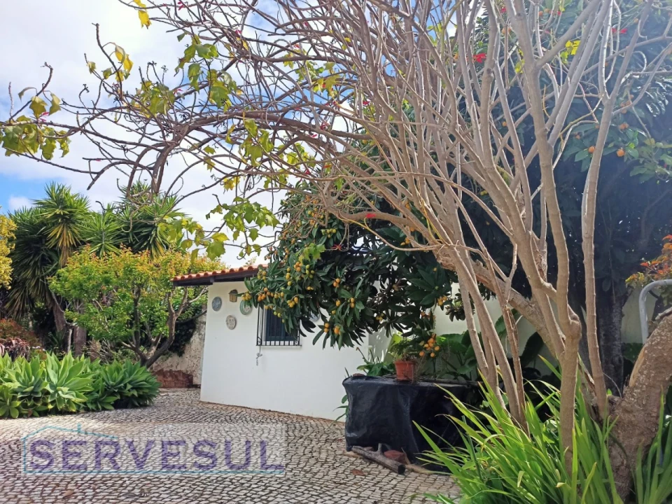 Moradia T4 para Venda em Silves Foto 10