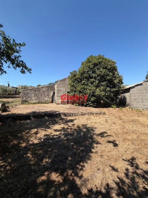 Terreno para Venda em Mundão