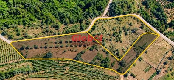 Terreno para Venda em Silgueiros