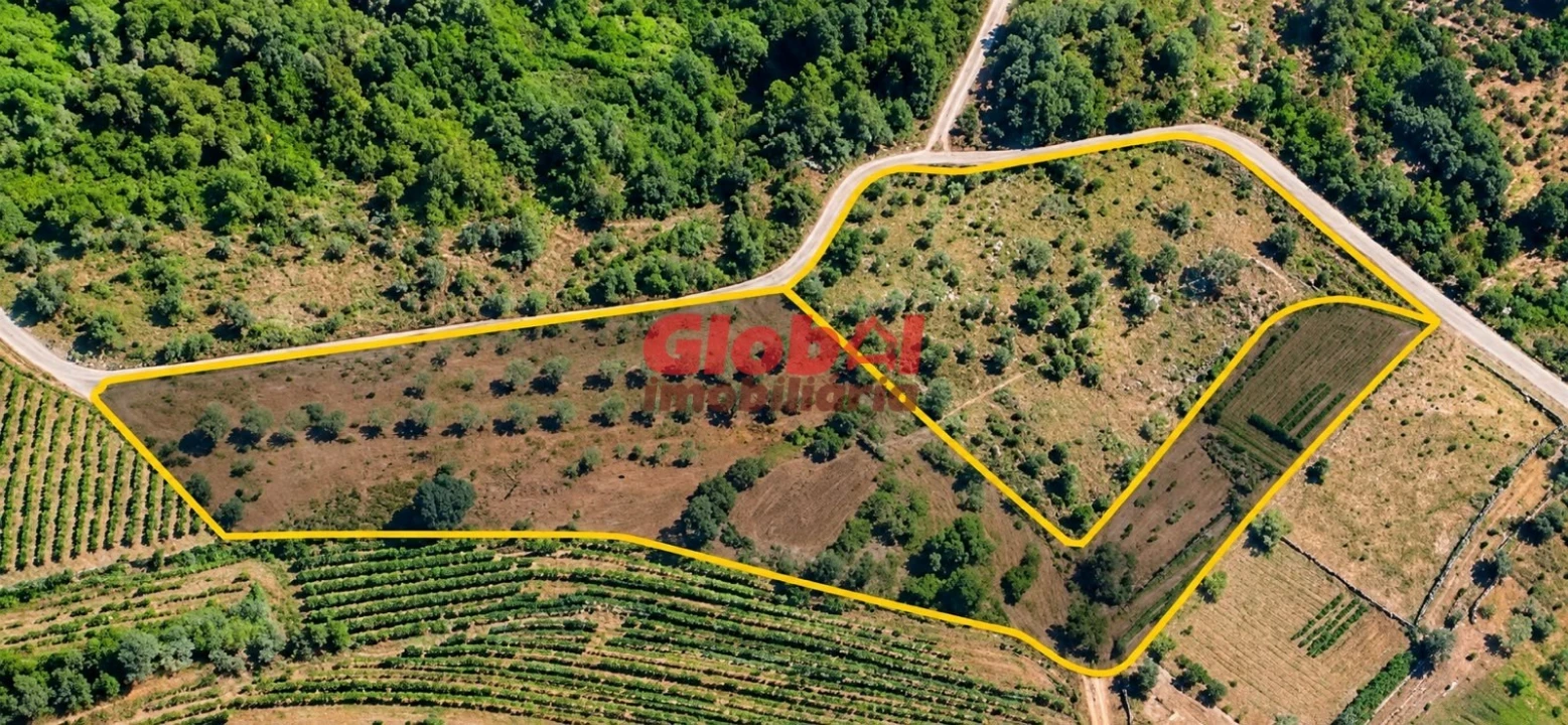 Terreno para Venda em Silgueiros Foto 1