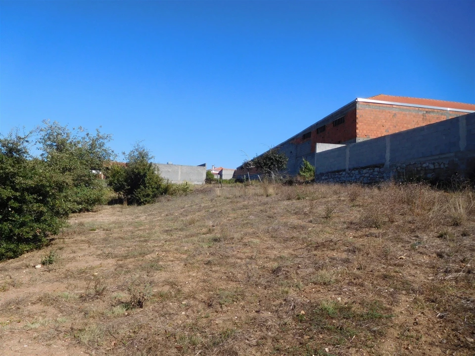 Terreno para Venda em Souto da Carpalhosa e Ortigosa Foto 12