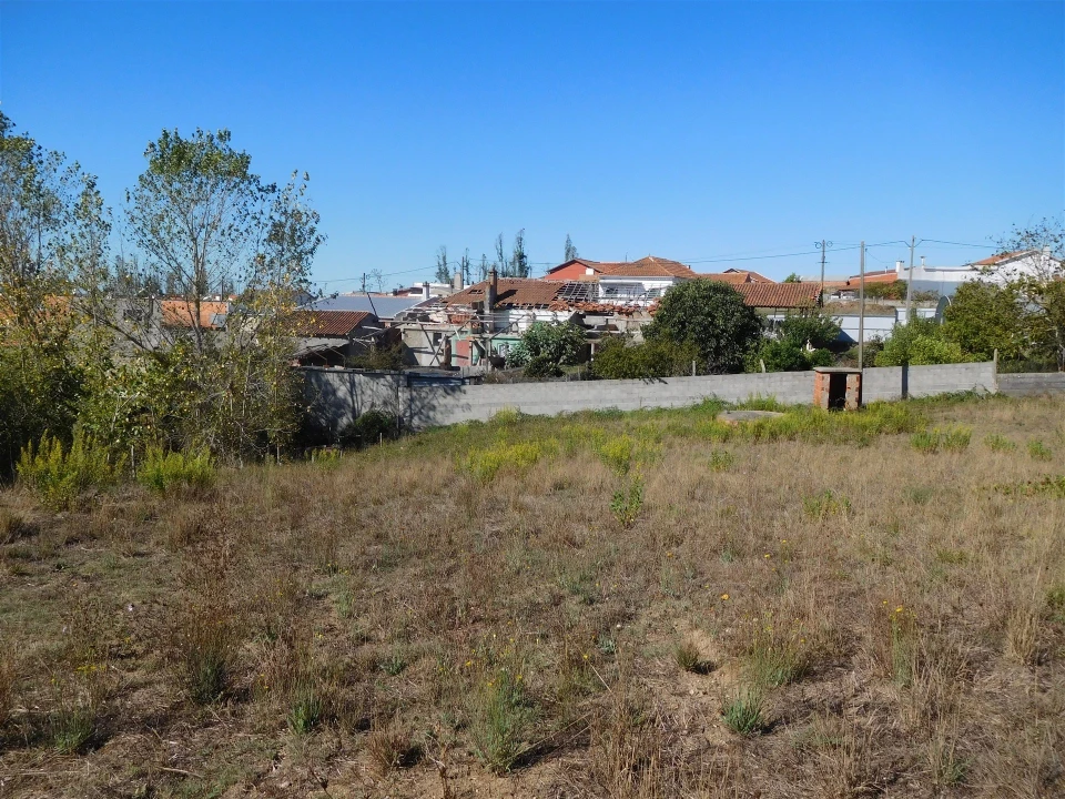 Terreno para Venda em Souto da Carpalhosa e Ortigosa Foto 2