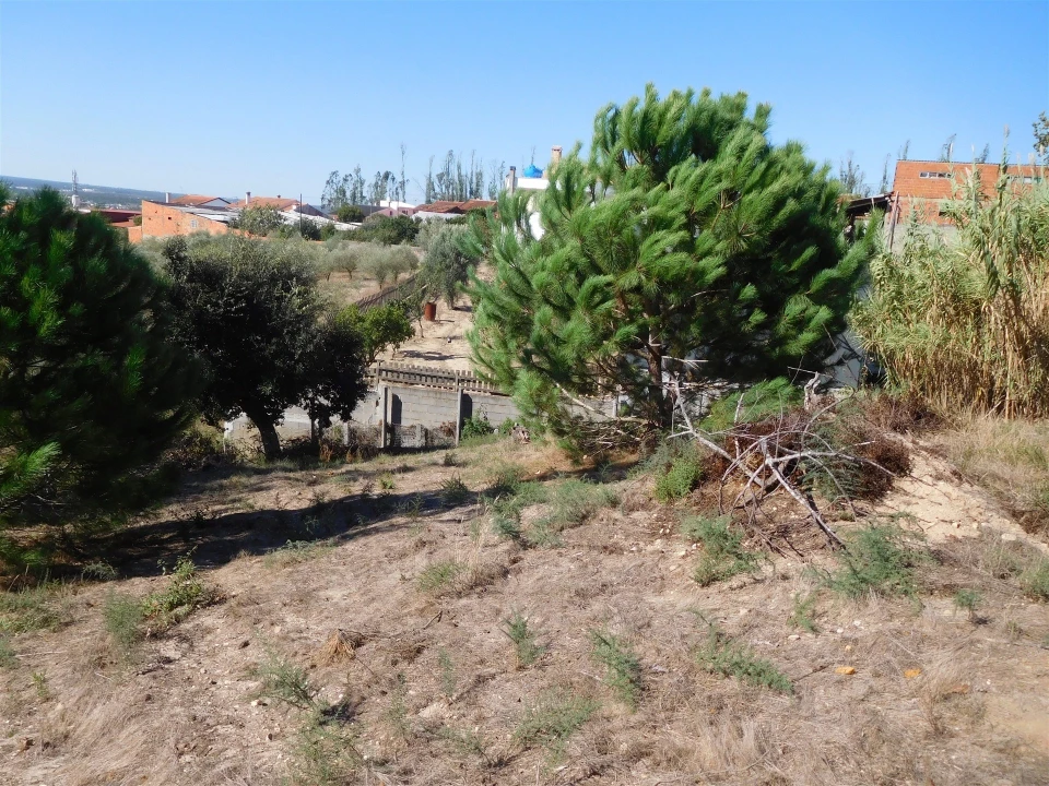Terreno para Venda em Souto da Carpalhosa e Ortigosa Foto 14