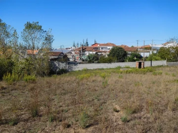 Terreno para Venda em Souto da Carpalhosa e Ortigosa