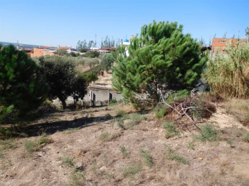Terreno para Venda em Souto da Carpalhosa e Ortigosa