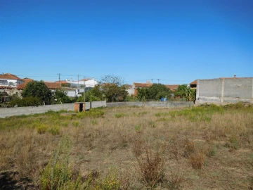 Terreno para Venda em Souto da Carpalhosa e Ortigosa