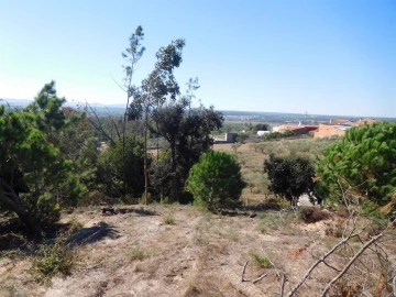 Terreno para Venda em Souto da Carpalhosa e Ortigosa