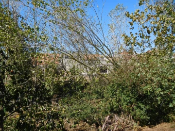 Terreno para Venda em Souto da Carpalhosa e Ortigosa