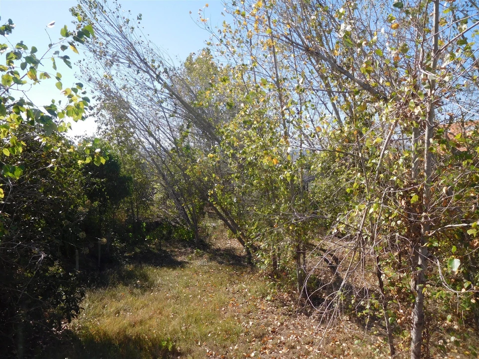 Terreno para Venda em Souto da Carpalhosa e Ortigosa Foto 7