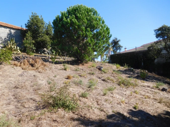 Terreno para Venda em Souto da Carpalhosa e Ortigosa Foto 17