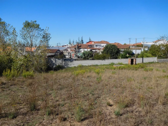 Terreno para Venda em Souto da Carpalhosa e Ortigosa Foto 2