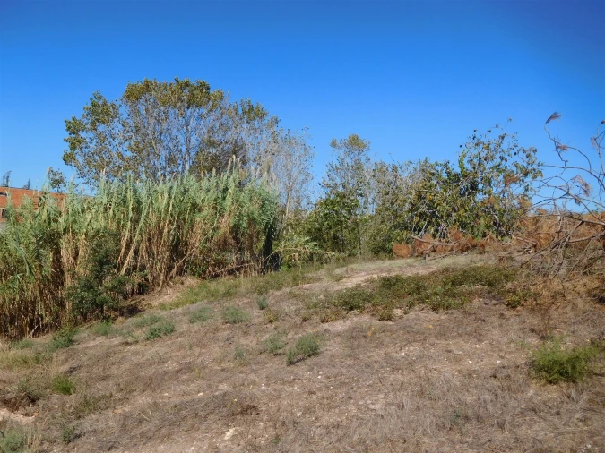 Terreno para Venda em Souto da Carpalhosa e Ortigosa Foto 15