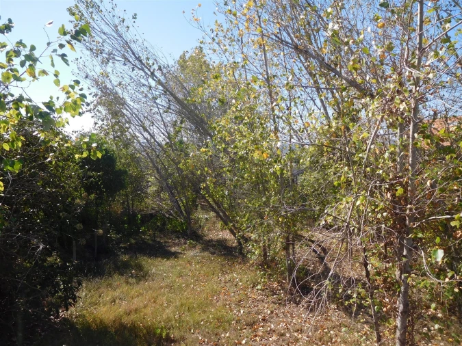 Terreno para Venda em Souto da Carpalhosa e Ortigosa Foto 7