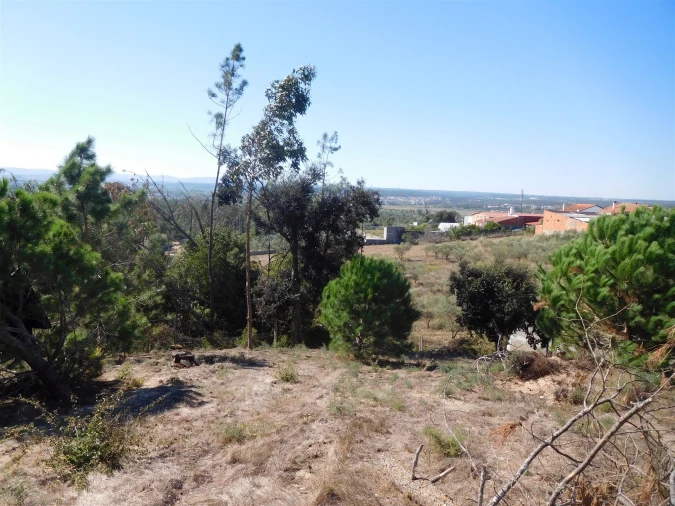 Terreno para Venda em Souto da Carpalhosa e Ortigosa Foto 13