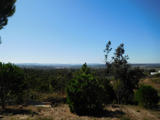 Terreno para Venda em Souto da Carpalhosa e Ortigosa Foto 19
