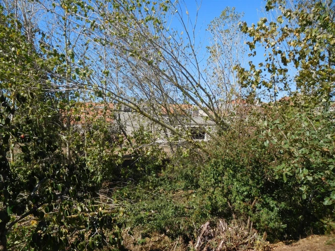 Terreno para Venda em Souto da Carpalhosa e Ortigosa Foto 11