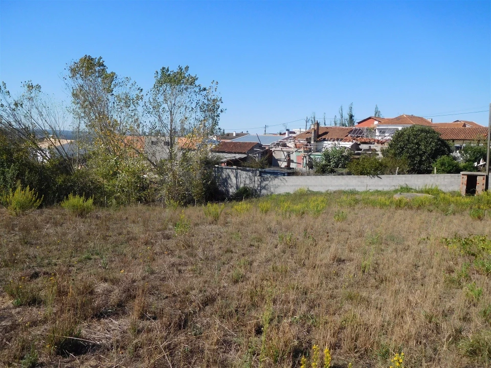 Terreno para Venda em Souto da Carpalhosa e Ortigosa Foto 4