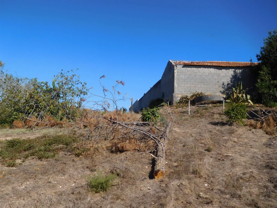 Terreno para Venda em Souto da Carpalhosa e Ortigosa Foto 16