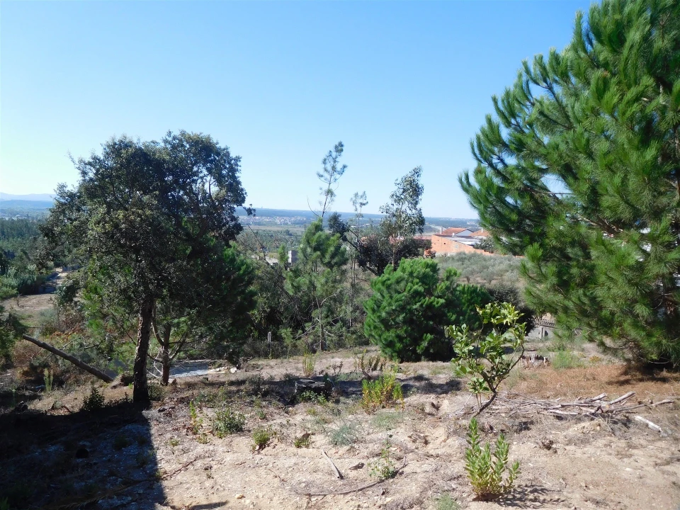 Terreno para Venda em Souto da Carpalhosa e Ortigosa Foto 21