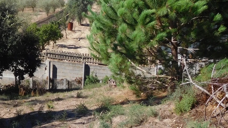 Terreno para Venda em Souto da Carpalhosa e Ortigosa