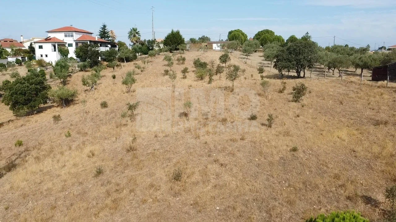 Terreno para Venda em Benquerenças Foto 9