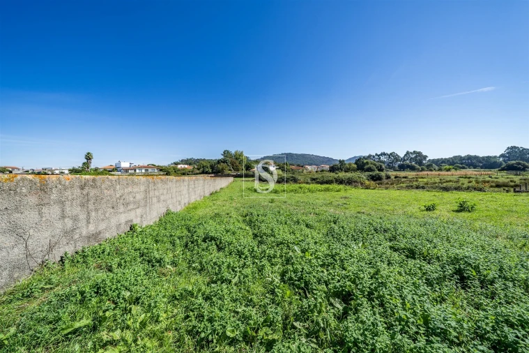 Terreno para Venda em Antas Foto 6