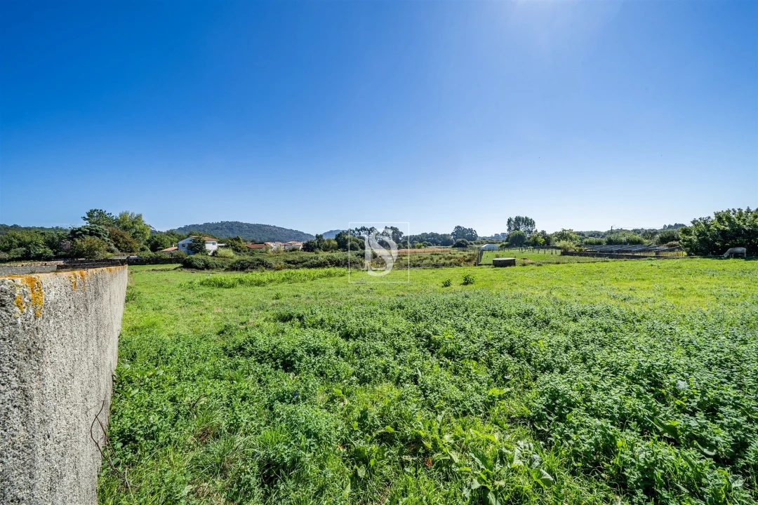 Terreno para Venda em Antas Foto 5