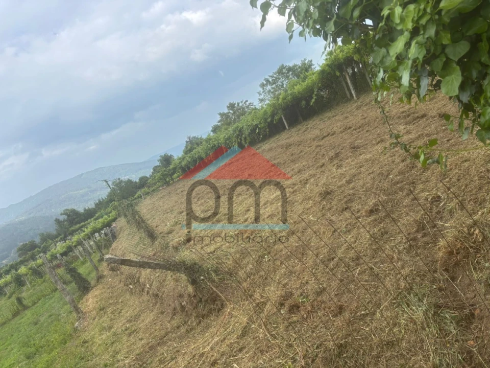 Terreno para Venda em Chaviães e Paços Foto 3