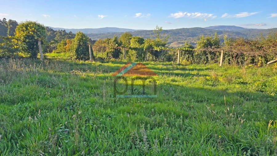 Terreno para Venda em Chaviães e Paços Foto 4