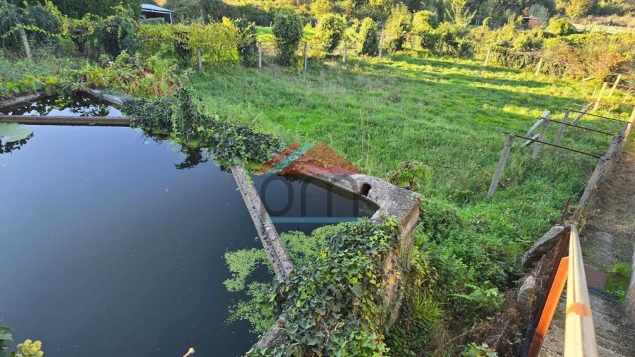 Terreno para Venda em Chaviães e Paços Foto 7