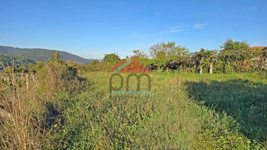 Terreno para Venda em Chaviães e Paços Foto 8