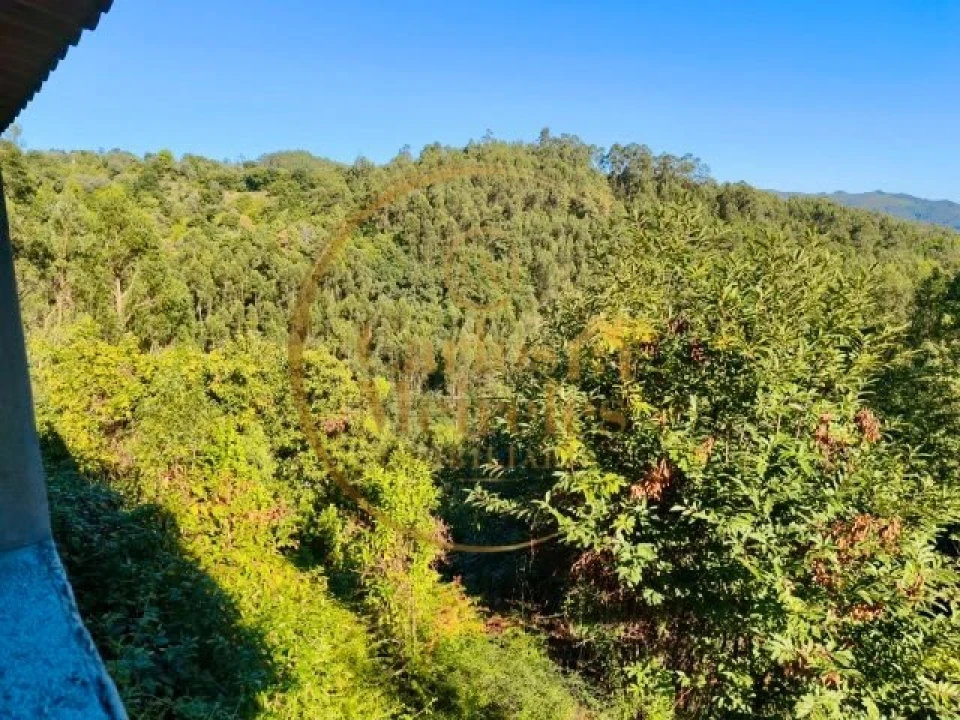 Quinta T4 para Venda em Sande, Vilarinho, Barros e Gomide Foto 33