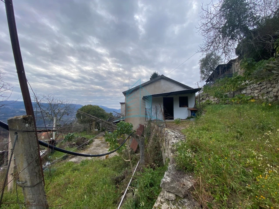 Moradia T4 para Venda em Baião (Santa Leocádia) e Mesquinhata Foto 4